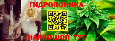 мдпв Кинель