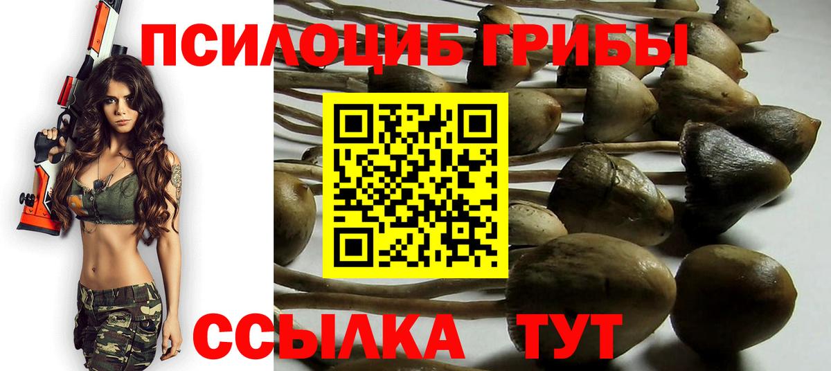 Галлюциногенные грибы Cubensis  что такое   Кострома  Вход с VPN 